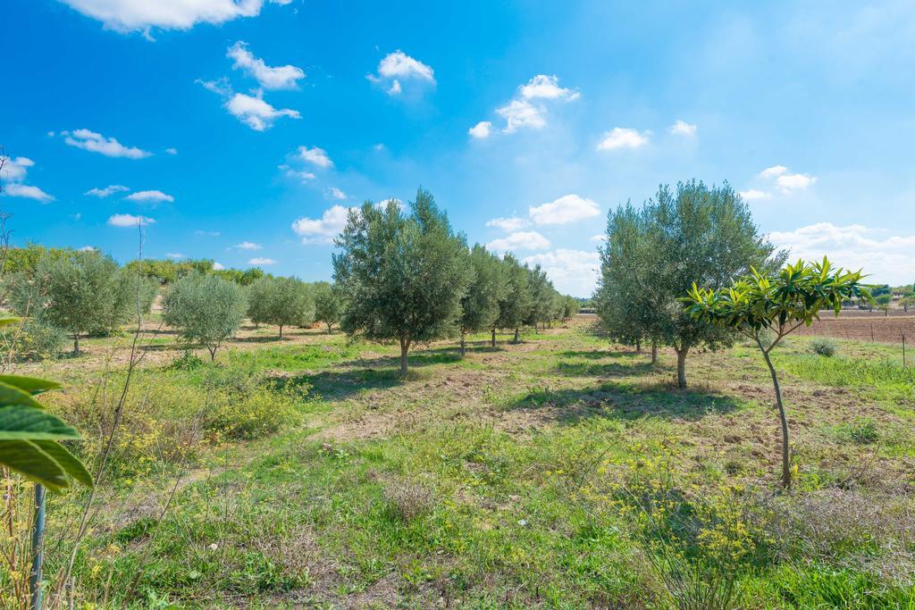 Вилла Granja Инка Экстерьер фото