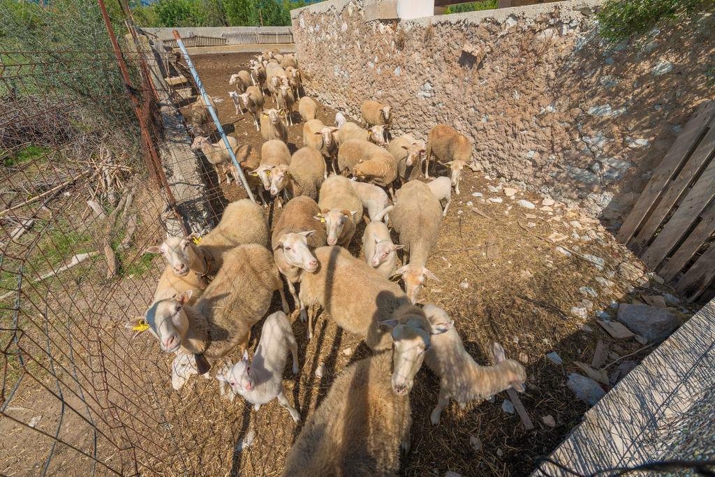 Вилла Granja Инка Экстерьер фото